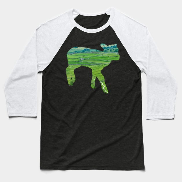 A Yorkshire Lamb Baseball T-Shirt by shauniejdesigns